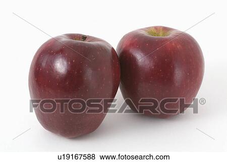 Stock Photo - red, background, white, apples, pair. Fotosearch