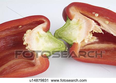 red, white, pepper, bell, section View Large Photo Image Stock Image - red, white, pepper, bell, section. Fotosearch