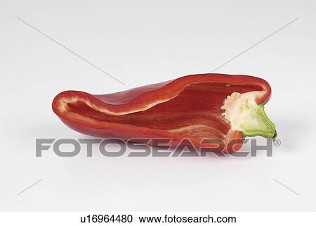 red, white, pepper, bell, section View Large Photo Image Stock Image - red, white, pepper, bell, section. Fotosearch