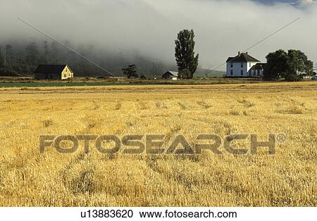 reserve, island, house, ebeys, landscape, sky View Large Photo Image Stock Image - reserve, island, house, ebeys, landscape, sky. Fotosearch