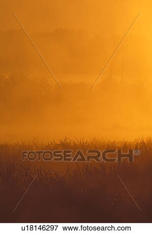 Stock Photo - river, usa, union, spencer, dawn, fog. Fotosearch