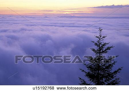 Stock Photo - road, olympic, heart, sunrise, washington, dawn. Fotosearch