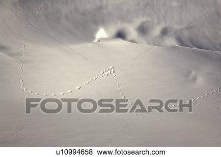 Stock Photo - road, snow, country, ditch, drift, huge. Fotosearch