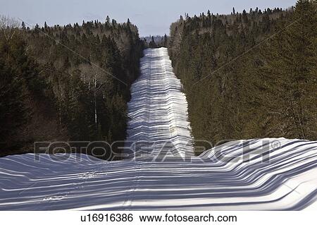 road, snow, winter, logging View Large Photo Image Stock Photograph - road, snow, winter, logging. Fotosearch