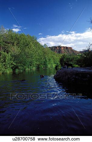 Stock Photo - rock, trees, red, arizona, sedona, stream. Fotosearch