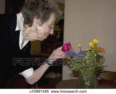 Stock Photograph - rose, age, red, enjoying, 91, mom. Fotosearch