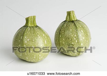 Stock Image - round, marrow, white, marrows, two. Fotosearch