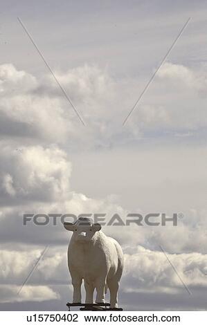 Stock Image - rural, bull, canada, saskatchewan, scenic, statue. Fotosearch