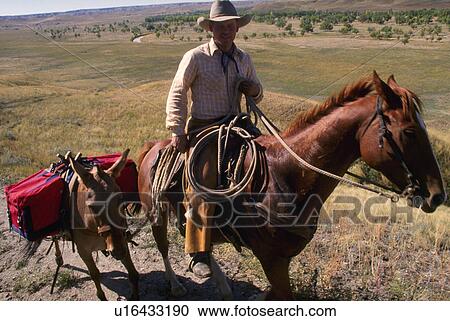Stock Image - saddle, released, lariat, horseback, cowboy, model. Fotosearch