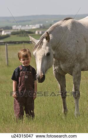 saskatchewan, boy, southern, scenic, horse, young View Large Photo Image Stock Photo - saskatchewan, boy, southern, scenic, horse, young. Fotosearch
