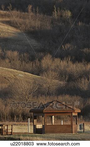 Stock Image - saskatchewan, buffalo, park, provincial, pound, gazebo. Fotosearch