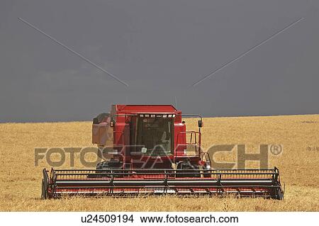 saskatchewan, combine, scenic, harvest, 2006, idle View Large Photo Image Picture - saskatchewan, combine, scenic, harvest, 2006, idle. Fotosearch