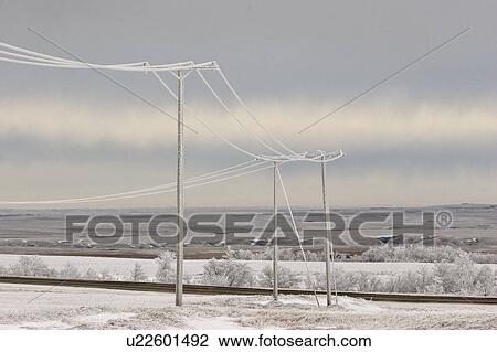 Stock Image - saskatchewan, frostcovered, scenic, lines, power, hoar. Fotosearch