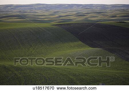 Stock Image - saskatchewan, growing, scenic, coteau, missouri, crops. Fotosearch