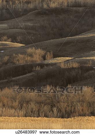 saskatchewan, hills, flats, nicolle, overlooking, scenic View Large Photo Image Stock Photo - saskatchewan, hills, flats, nicolle, overlooking, scenic. Fotosearch