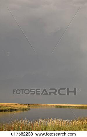 saskatchewan, river, scenic, light, low, wood View Large Photo Image Stock Photo - saskatchewan, river, scenic, light, low, wood. Fotosearch