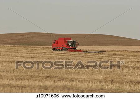 Stock Photograph - saskatchewan, stopped, scenic, harvest, field, combine. Fotosearch