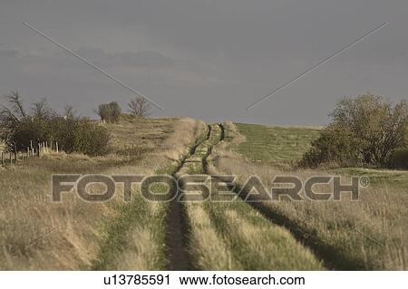 Stock Image - saskatchewan, through, scenic, grass, high, trail. Fotosearch