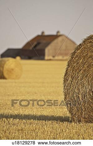 Stock Photo - scenic, bales, background, barn, old, straw. Fotosearch
