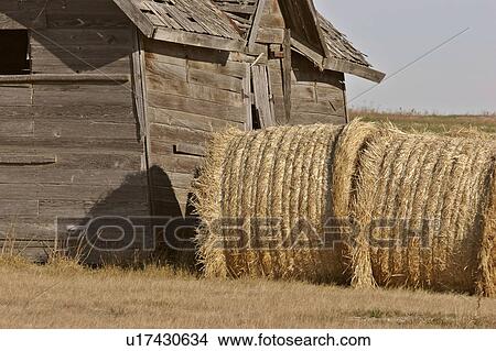 Picture - scenic, bales, granary, old, next, hay. Fotosearch