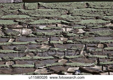 Stock Photograph - scenic, deserted, house, farm, old, roof. Fotosearch