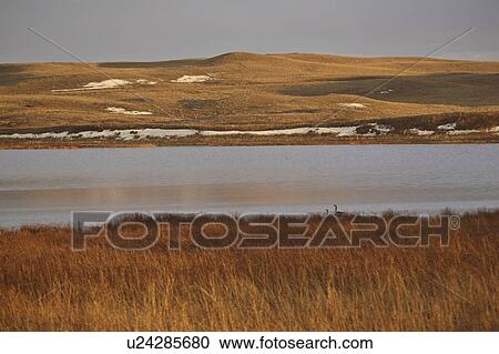Stock Image - scenic, frozen, coteau, missouri, pothole, partially. Fotosearch