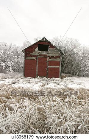 Stock Photo - scenic, granary, trees, frostcovered, hoar, old. Fotosearch