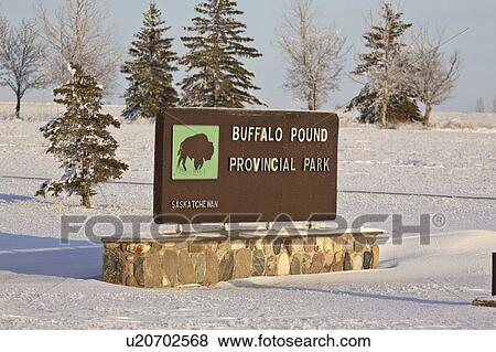 Stock Photo - scenic, pound, sign, park, provincial, buffalo. Fotosearch