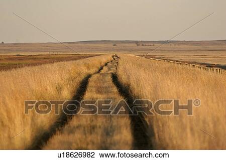 Stock Image - scenic, road, marshes, lake, chaplin, causeway. Fotosearch