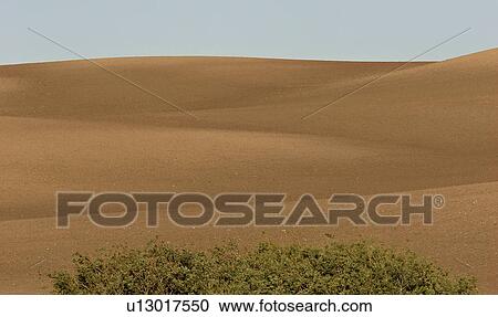 scenic, rolling, jaw, moose, hills, lovely View Large Photo Image Stock Image - scenic, rolling, jaw, moose, hills, lovely. Fotosearch