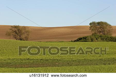 scenic, rolling, jaw, moose, hills, lovely View Large Photo Image Stock Image - scenic, rolling, jaw, moose, hills, lovely. Fotosearch