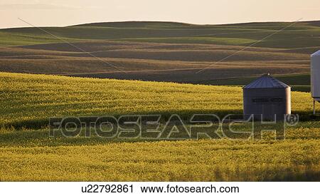 scenic, rolling, jaw, moose, hills, crops View Large Photo Image Stock Image - scenic, rolling, jaw, moose, hills, crops. Fotosearch