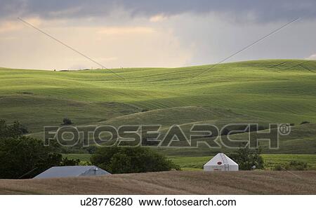 Stock Image - scenic, rolling, jaw, moose, hills, lovely. Fotosearch