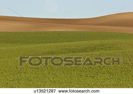scenic, rolling, jaw, moose, hills, lovely View Large Photo Image Stock Photo - scenic, rolling, jaw, moose, hills, lovely. Fotosearch
