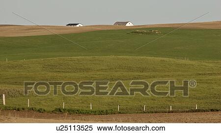 Stock Photography - scenic, rolling, jaw, moose, hills, lovely. Fotosearch