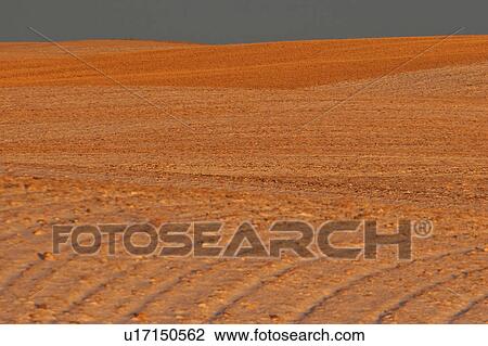 Stock Image - scenic, sun, fields, up, lighting, morning. Fotosearch