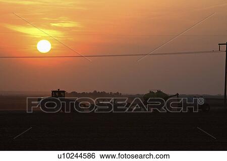 Stock Photograph - seeding, setting, farmer, saskatchewan, behind, sun. Fotosearch