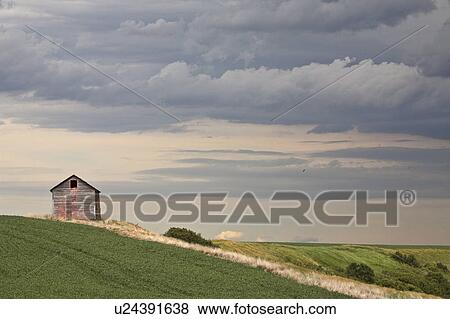 skies, granary, saskatchewan, old, cloudy View Large Photo Image Stock Photo - skies, granary, saskatchewan, old, cloudy. Fotosearch