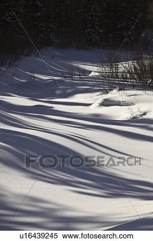 snow, manitoba, river, covered, frozen View Large Photo Image Stock Photography - snow, manitoba, river, covered, frozen. Fotosearch