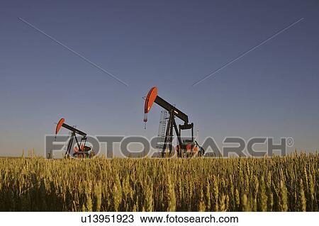 southern, jacks, scenic, oilfields, weyburn, pump View Large Photo Image Stock Image - southern, jacks, scenic, oilfields, weyburn, pump. Fotosearch