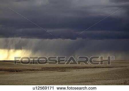 Stock Image - storm, rain, canada, saskatchewan, scenic, approaching. Fotosearch