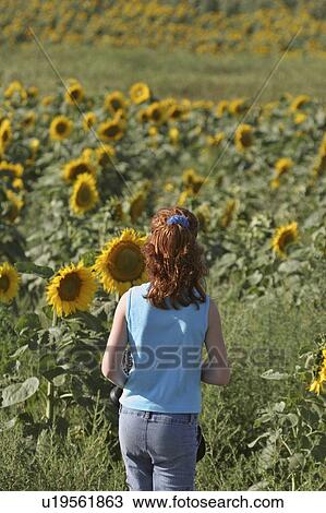 Stock Image - sunflowers, girl, look, closer, getting, young. Fotosearch