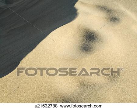 Stock Photo - sussex, dunes, east, sands, chamber, sand. Fotosearch