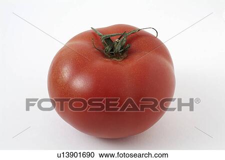 tomato, fruit, background, white, red View Large Photo Image Stock Image - tomato, fruit, background, white, red. Fotosearch