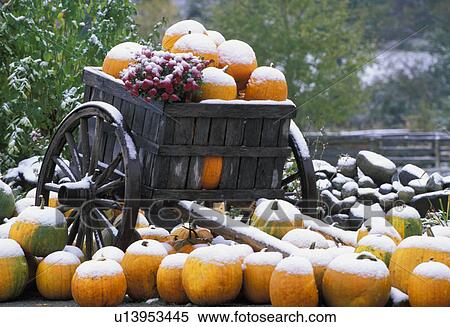 tourist, vermont, county, snow, orange, fall View Large Photo Image Stock Photography - tourist, vermont, county, snow, orange, fall. Fotosearch