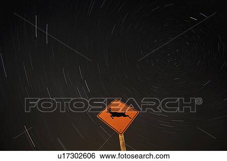 tracks, sign, deer, behind, star View Large Photo Image Stock Photograph - tracks, sign, deer, behind, star. Fotosearch