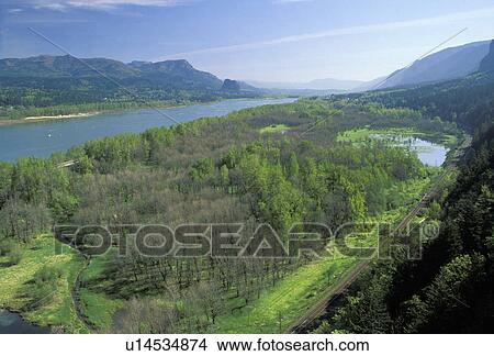 Picture - trail, gorge, travel, columbia, usa, water. Fotosearch