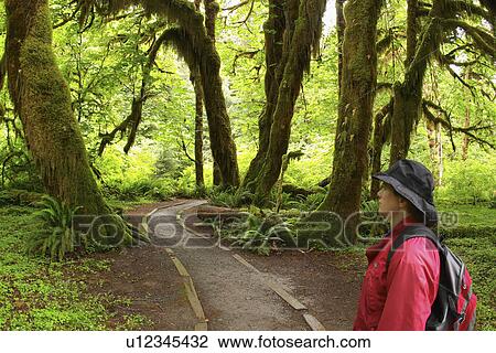 trail, released, hiking, female, woman, model View Large Photo Image Stock Image - trail, released, hiking, female, woman, model. Fotosearch