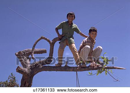 tree, boys, climb, kids, children, two View Large Photo Image Stock Image - tree, boys, climb, kids, children, two. Fotosearch