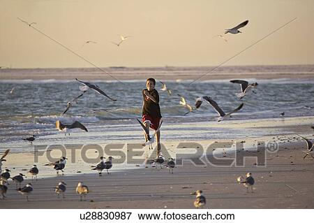usa, chasing, florida, scenic, gulls, boy View Large Photo Image Stock Photo - usa, chasing, florida, scenic, gulls, boy. Fotosearch